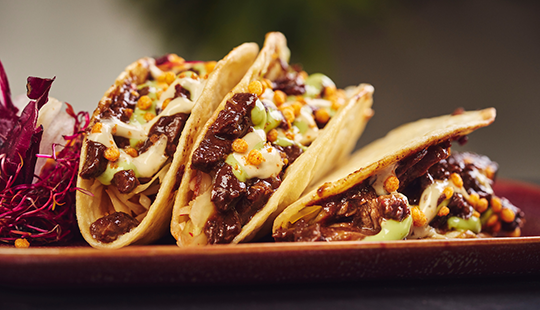 Taco coréen au gibier